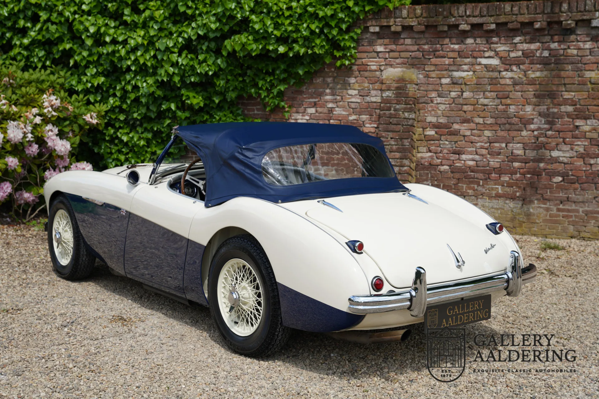 1954 Austin-Healey 100 BN1 Le Mans, 11/30