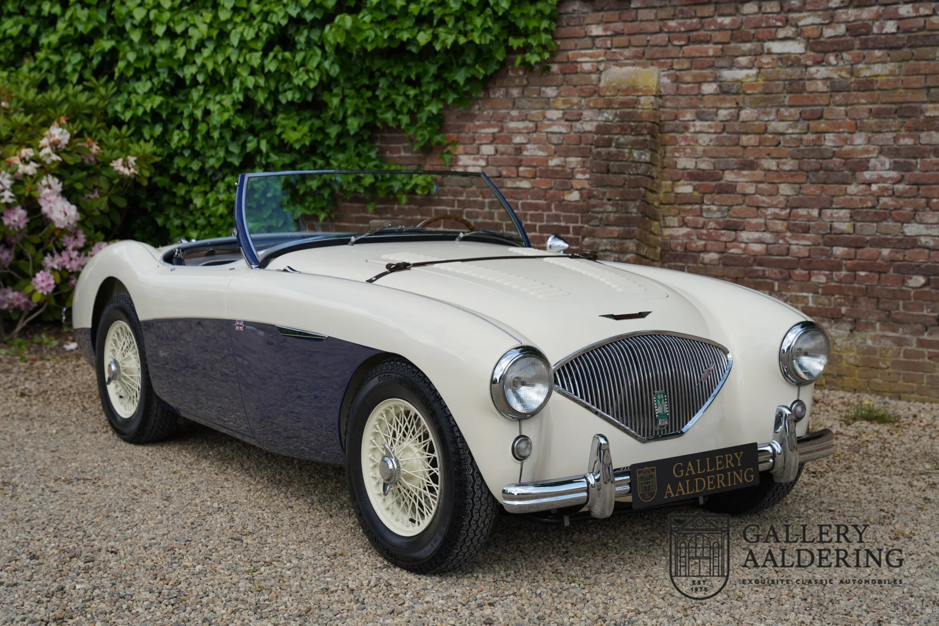 1954 Austin-Healey 100 BN1 Le Mans, 26/30