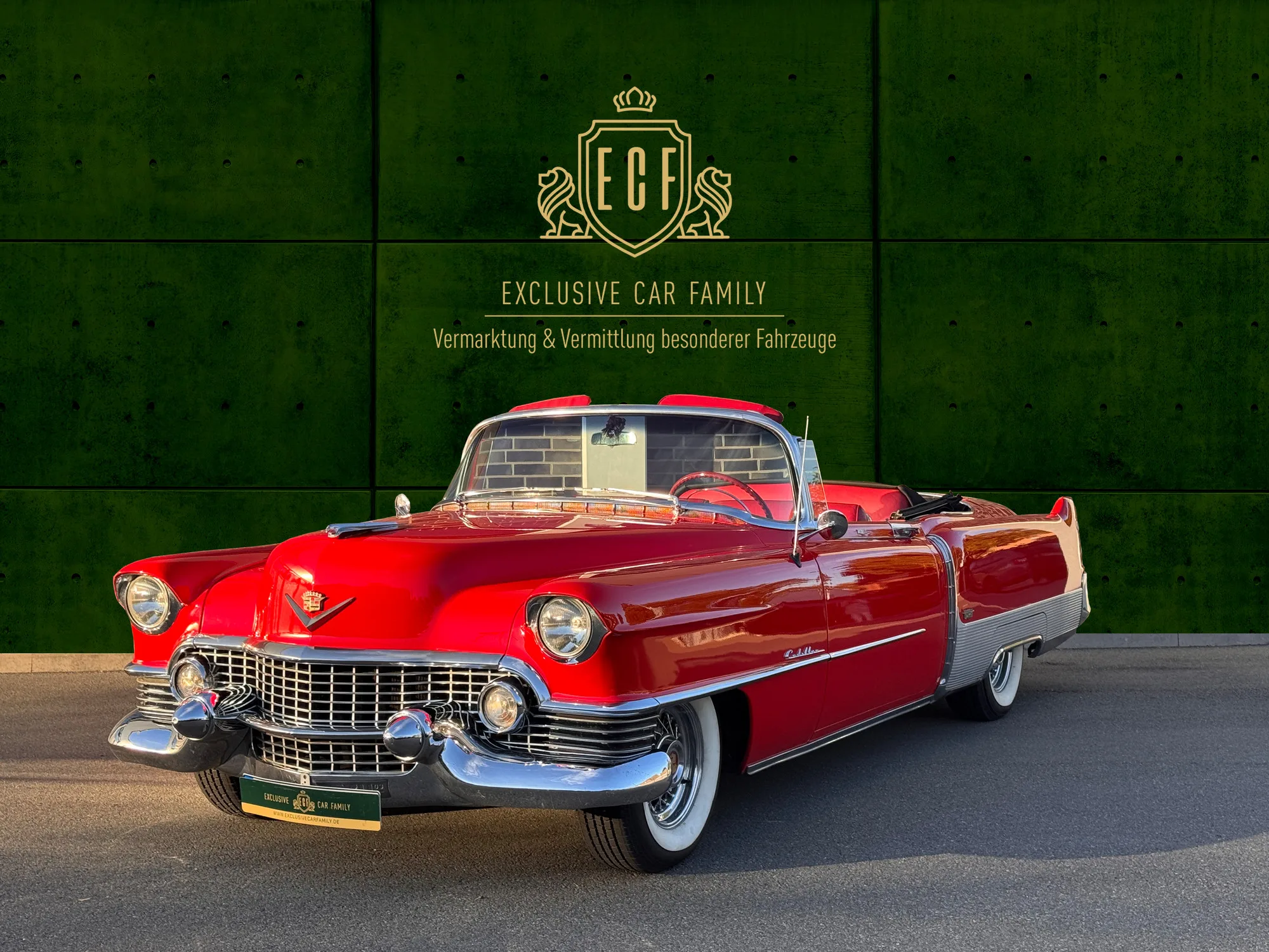 1954 Cadillac Eldorado angeboten von einem Vermittler in Hessisch Oldendorf, Deutschland, Hauptfoto