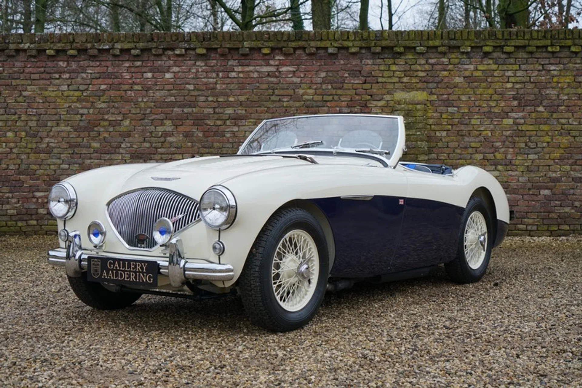 1955 Austin-Healey 100 BN1 100M specification offered by a specialist dealer in Brummen, Netherlands, main photo