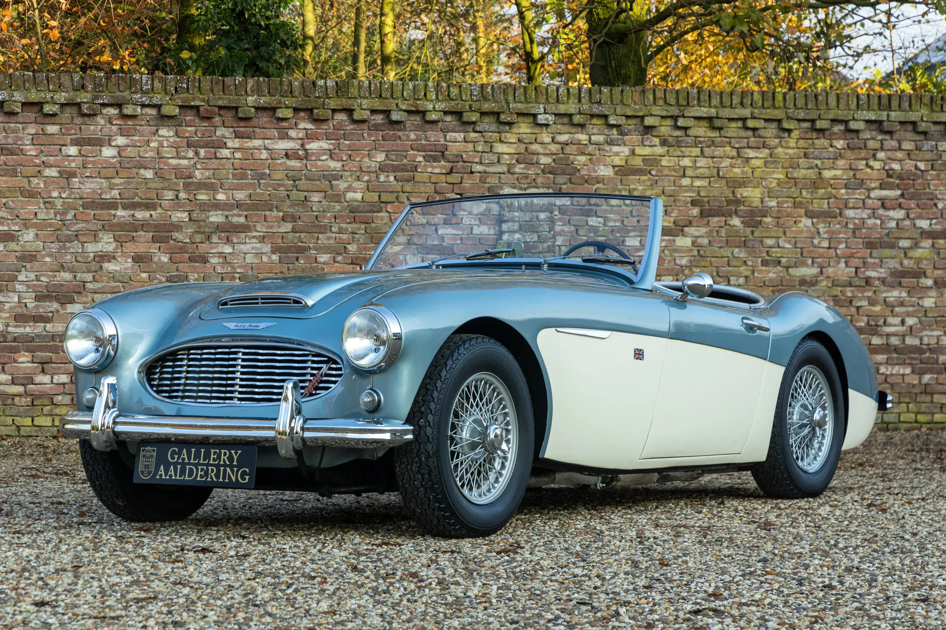 1960 Austin-Healey 3000 Mk I BN7 Overdrive offered by a specialist dealer in Brummen, Netherlands, main photo