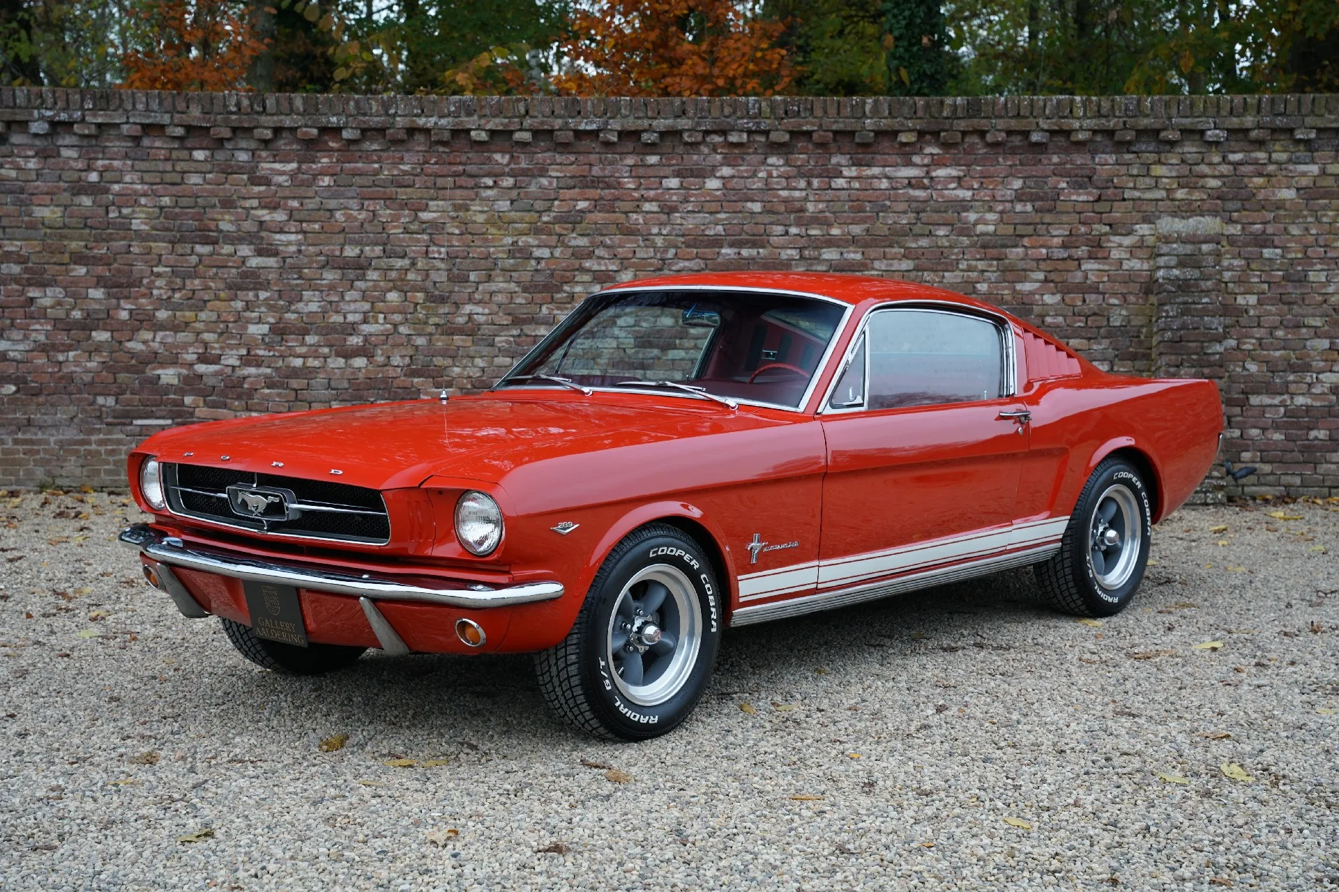 1965 Ford Mustang 289 A-code Fastback offered by a specialist dealer in Brummen, Netherlands, main photo