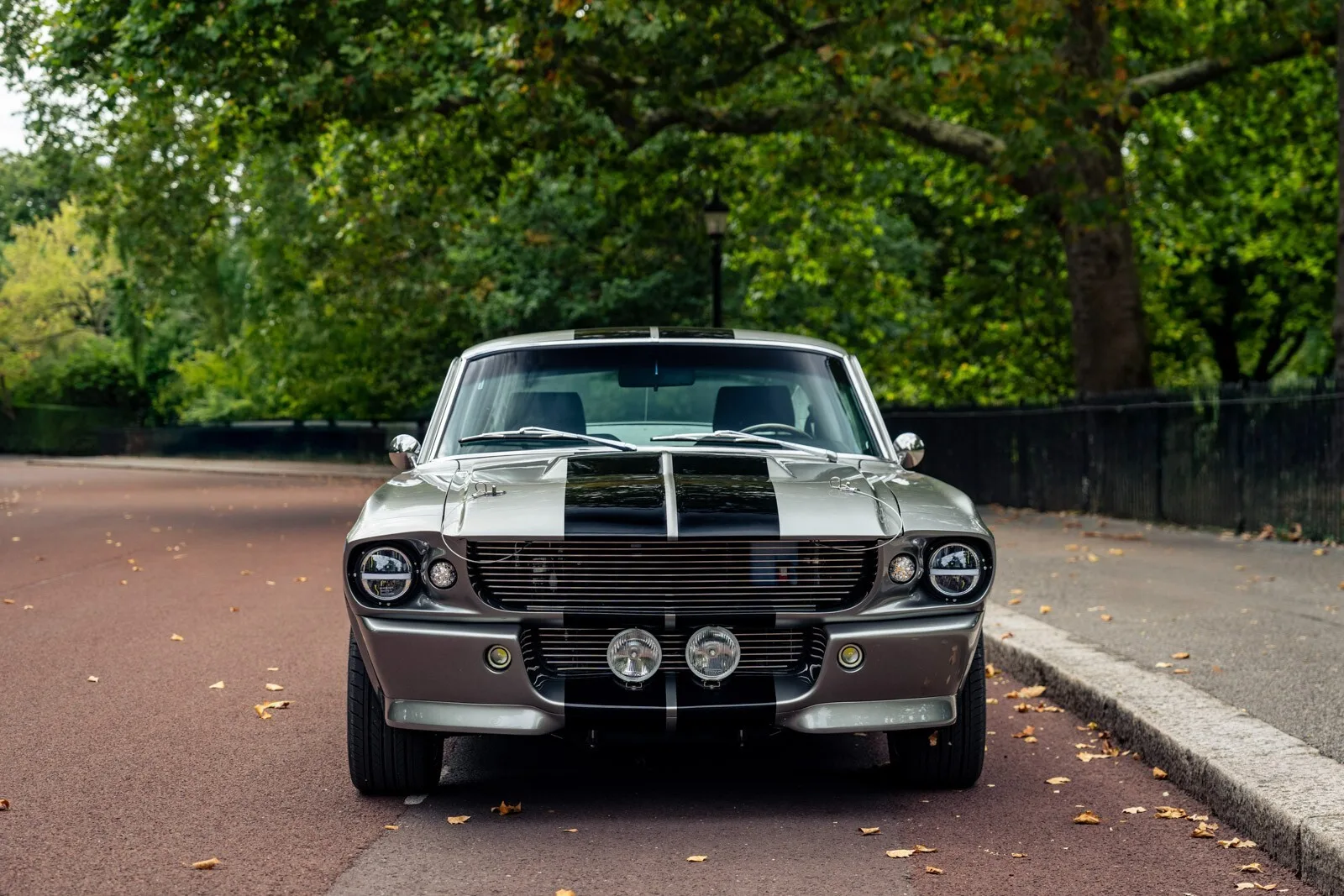 1967 Ford Mustang GT500CS, 2/30