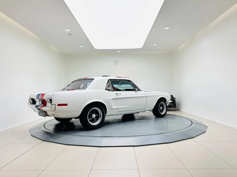 1967 Ford Mustang, 3/20