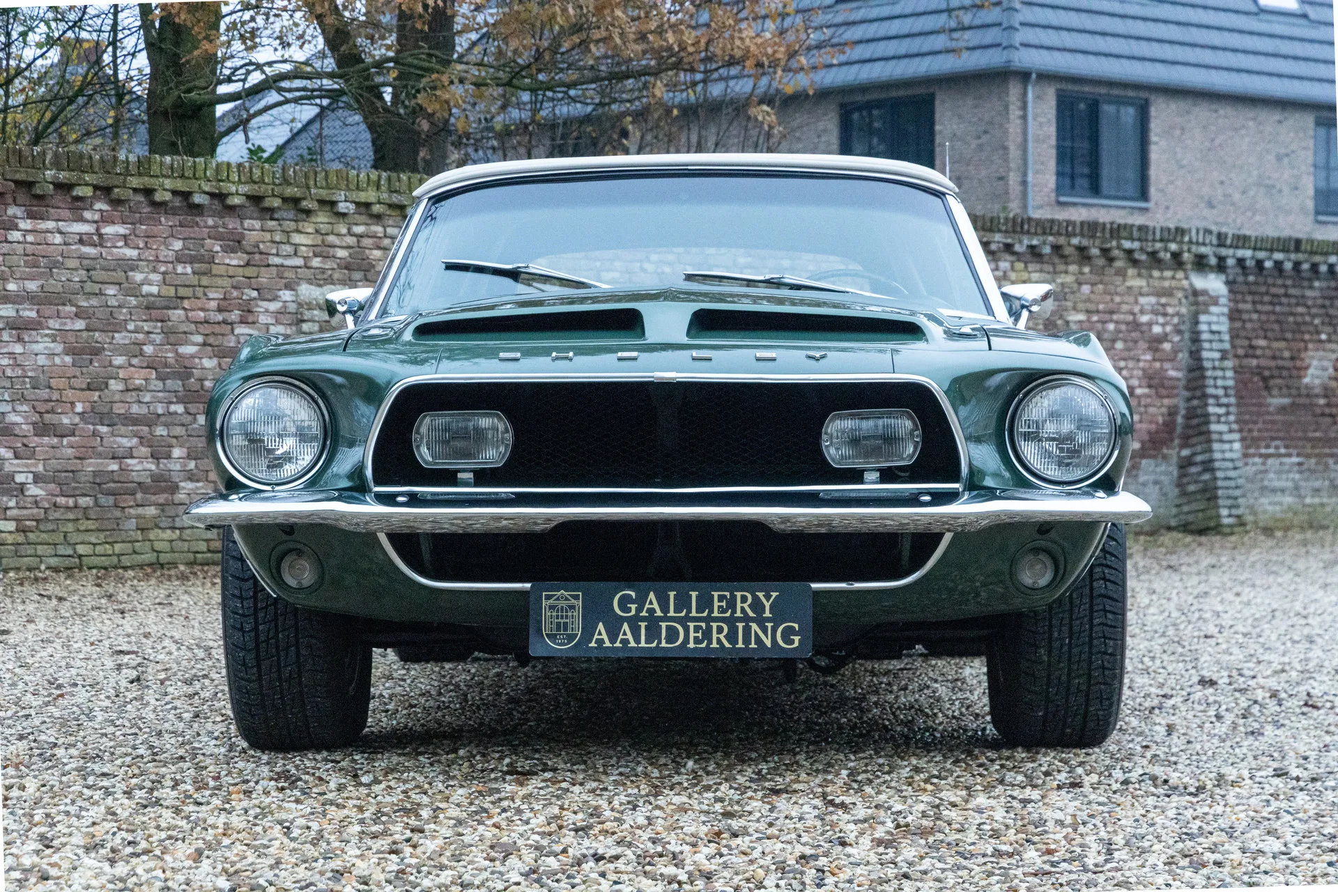 1968 Shelby Mustang GT350 Convertible Paxton, 25/30