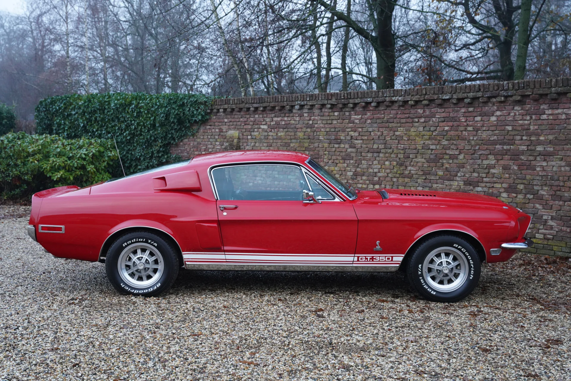 1968 Shelby Mustang GT350 Fastback, 22/30