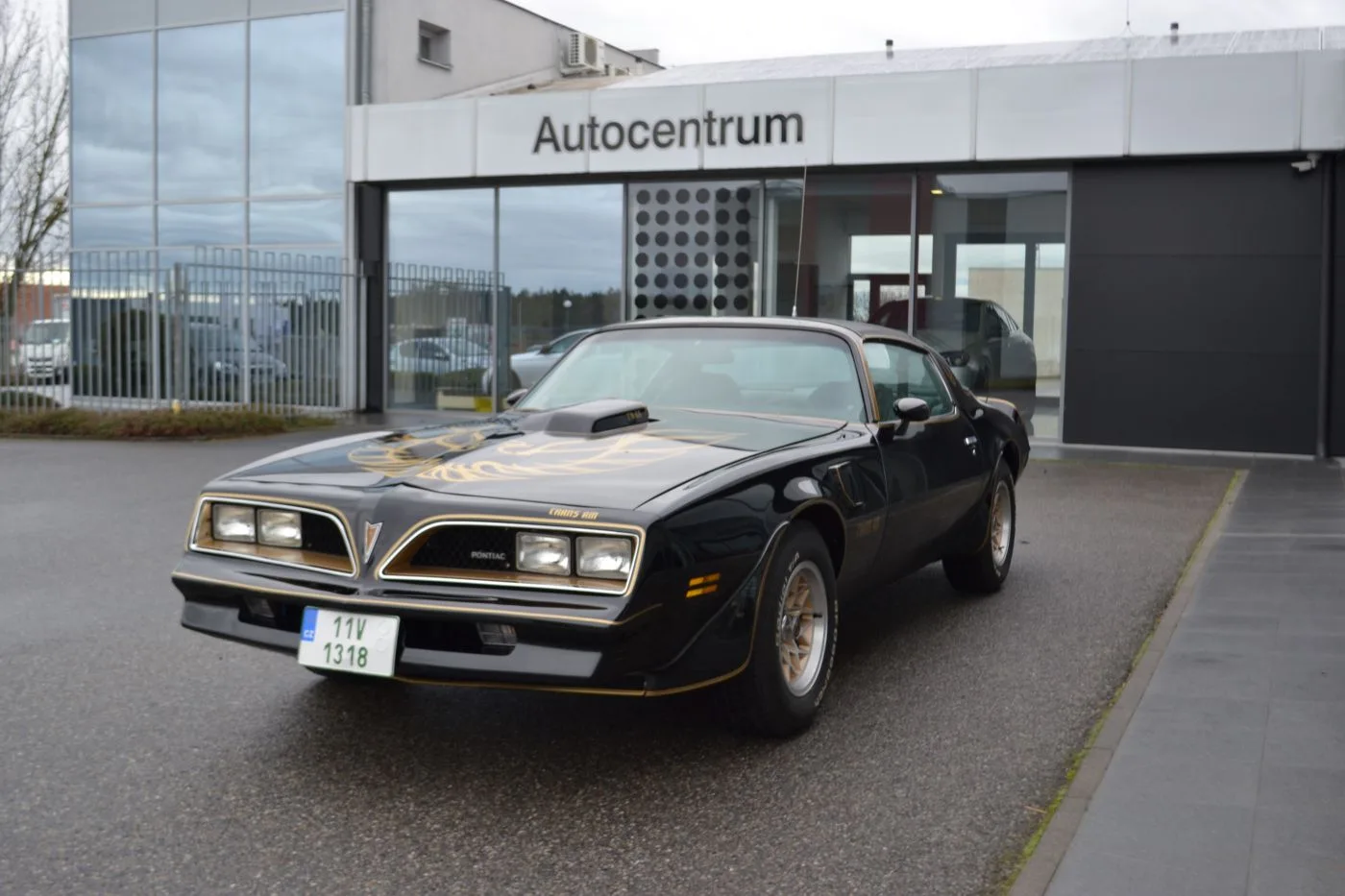 1978 Pontiac Firebird Trans Am angeboten von einem Fachhändler in Písek, Tschechien, Foto 2 von 24