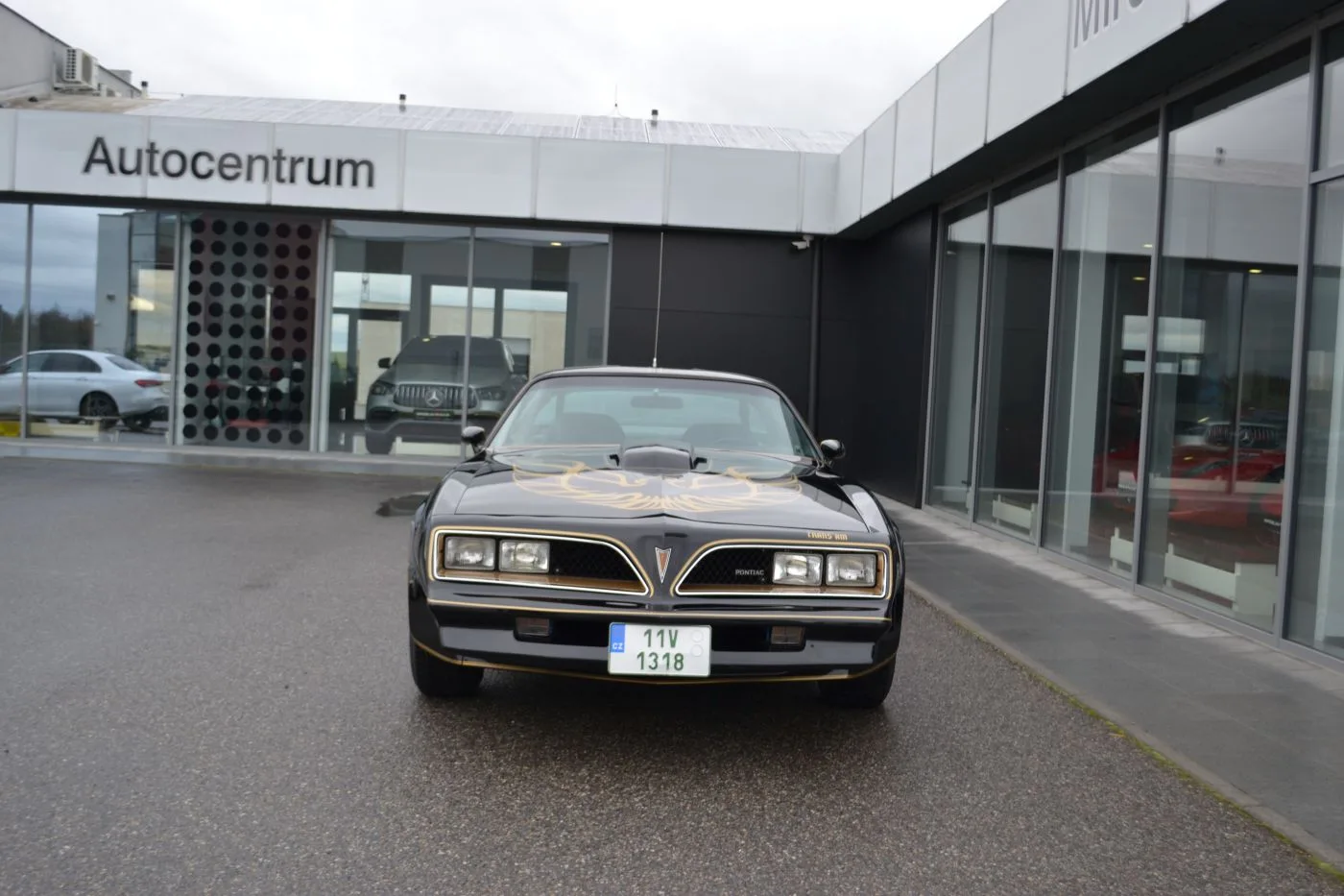 1978 Pontiac Firebird Trans Am angeboten von einem Fachhändler in Písek, Tschechien, Foto 7 von 24