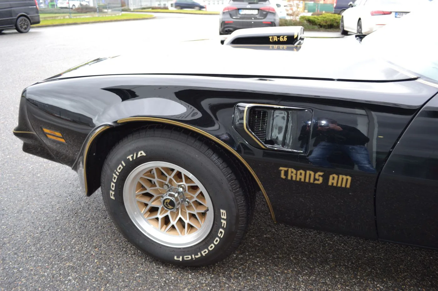 1978 Pontiac Firebird Trans Am angeboten von einem Fachhändler in Písek, Tschechien, Foto 8 von 24