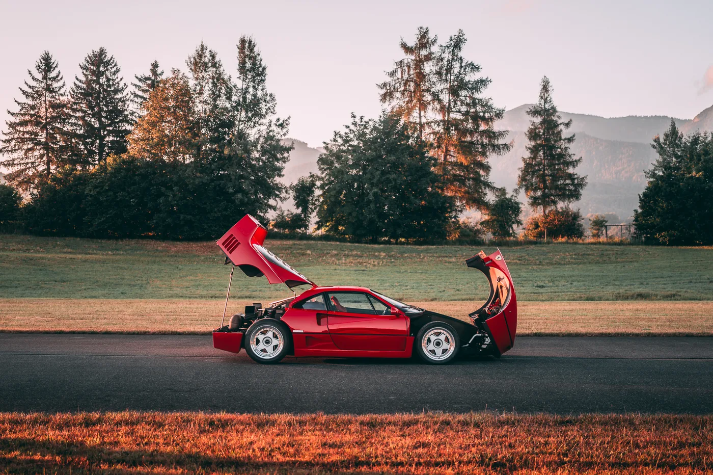1990 Ferrari F40 offered by a specialist dealer in Munich, Germany, photo 9 of 15
