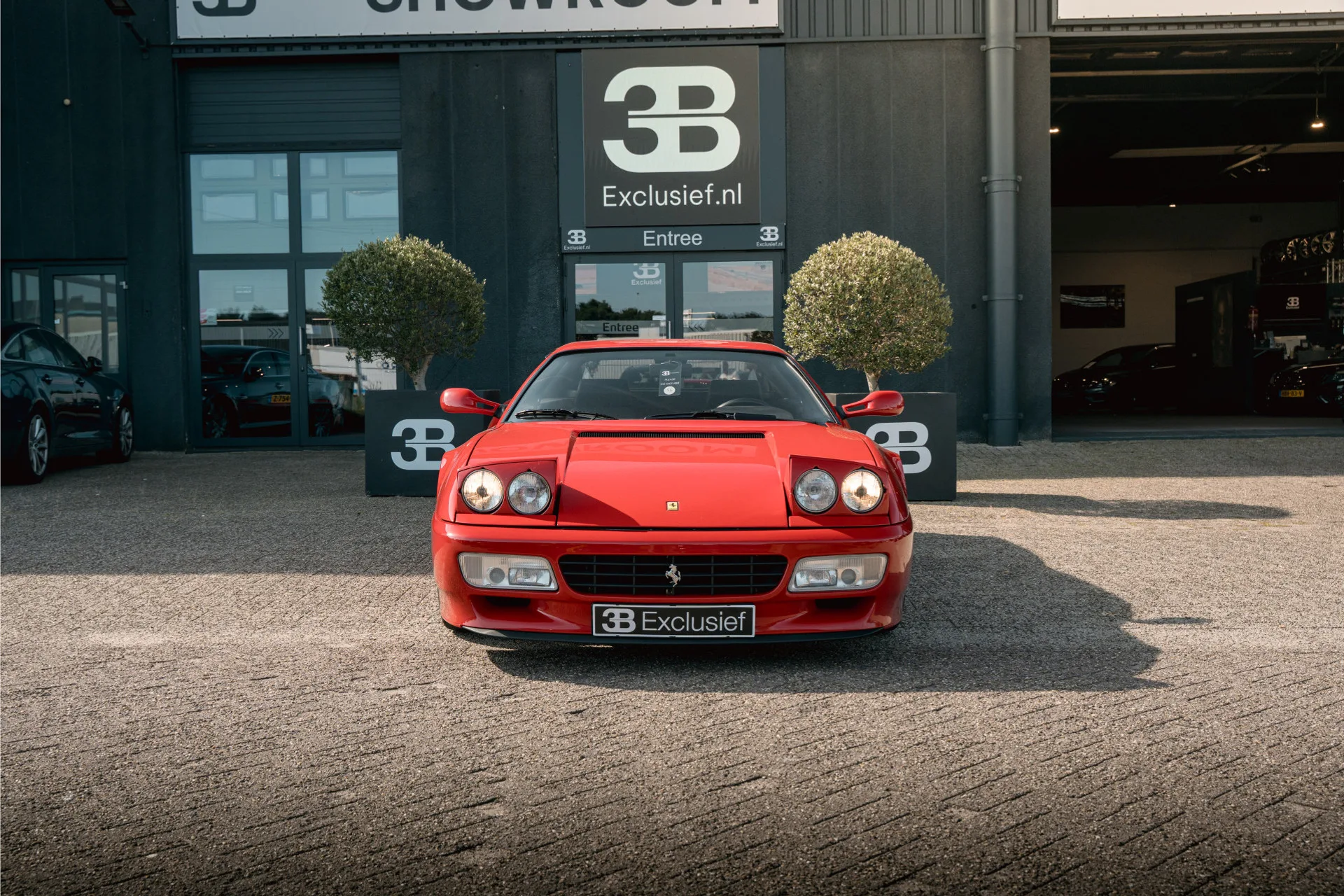 1992 Ferrari 512 TR, 25/26