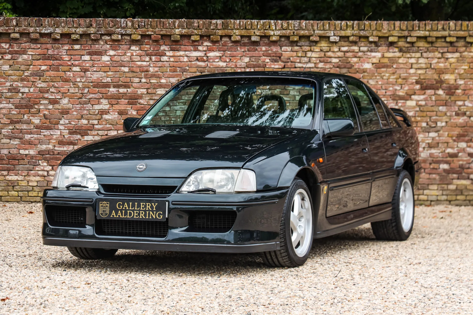 1992 Lotus Omega offered by a specialist dealer in Brummen, Netherlands, main photo