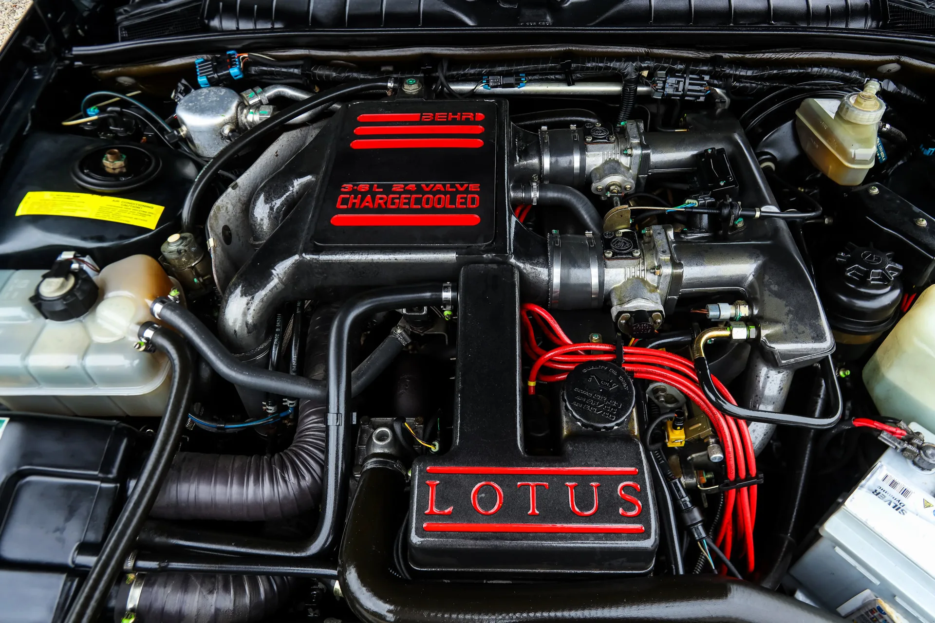 1992 Lotus Omega, 20/30
