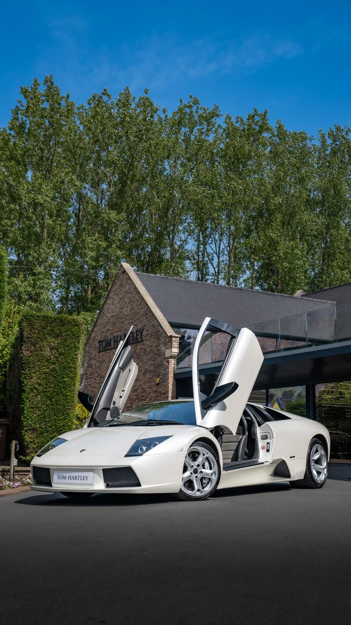 2005 Lamborghini Murciélago VT offered by a specialist dealer in Swadlincote, United Kingdom, photo 7 of 12