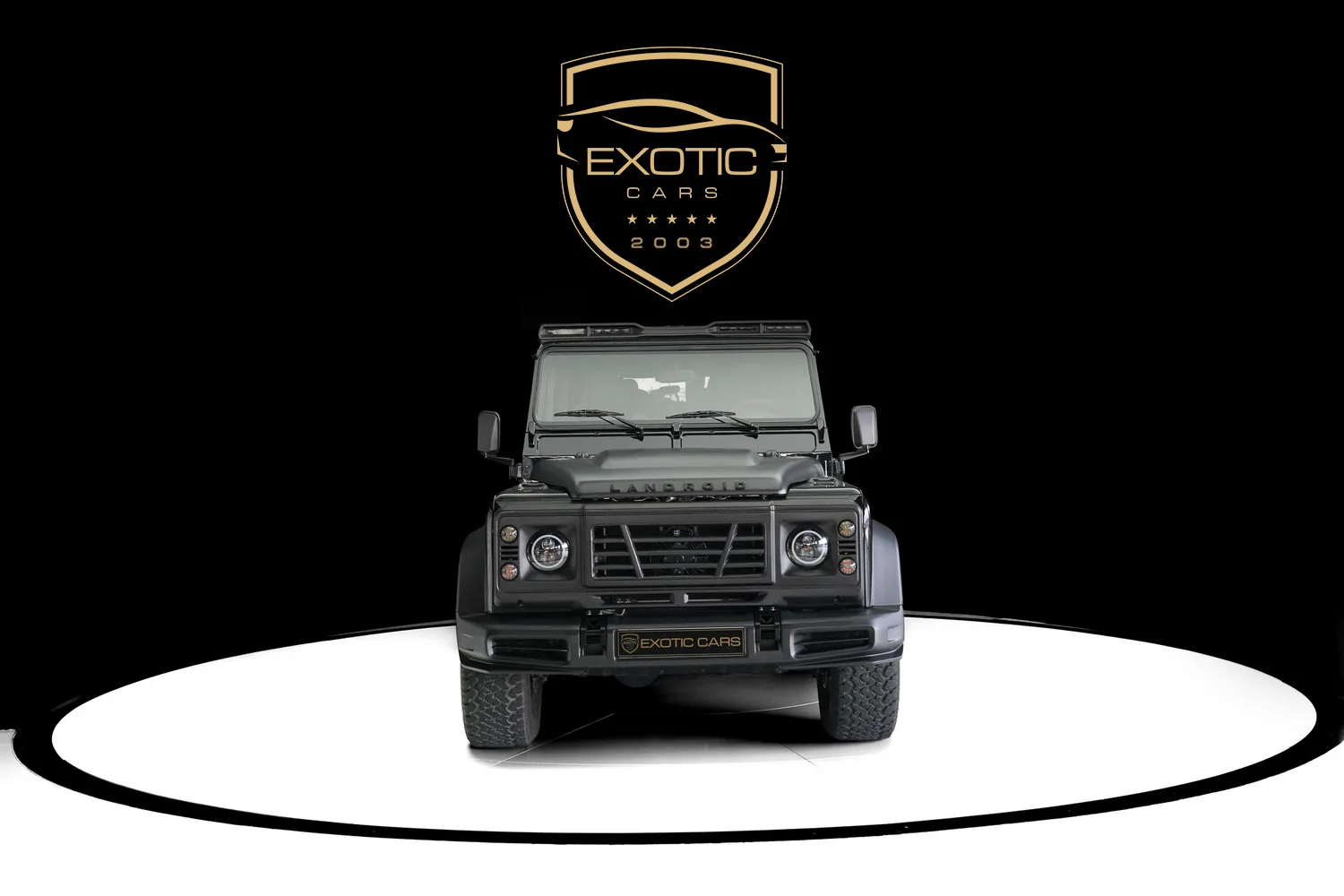 2009 Land Rover Defender 110 Classic SVX, 18/19