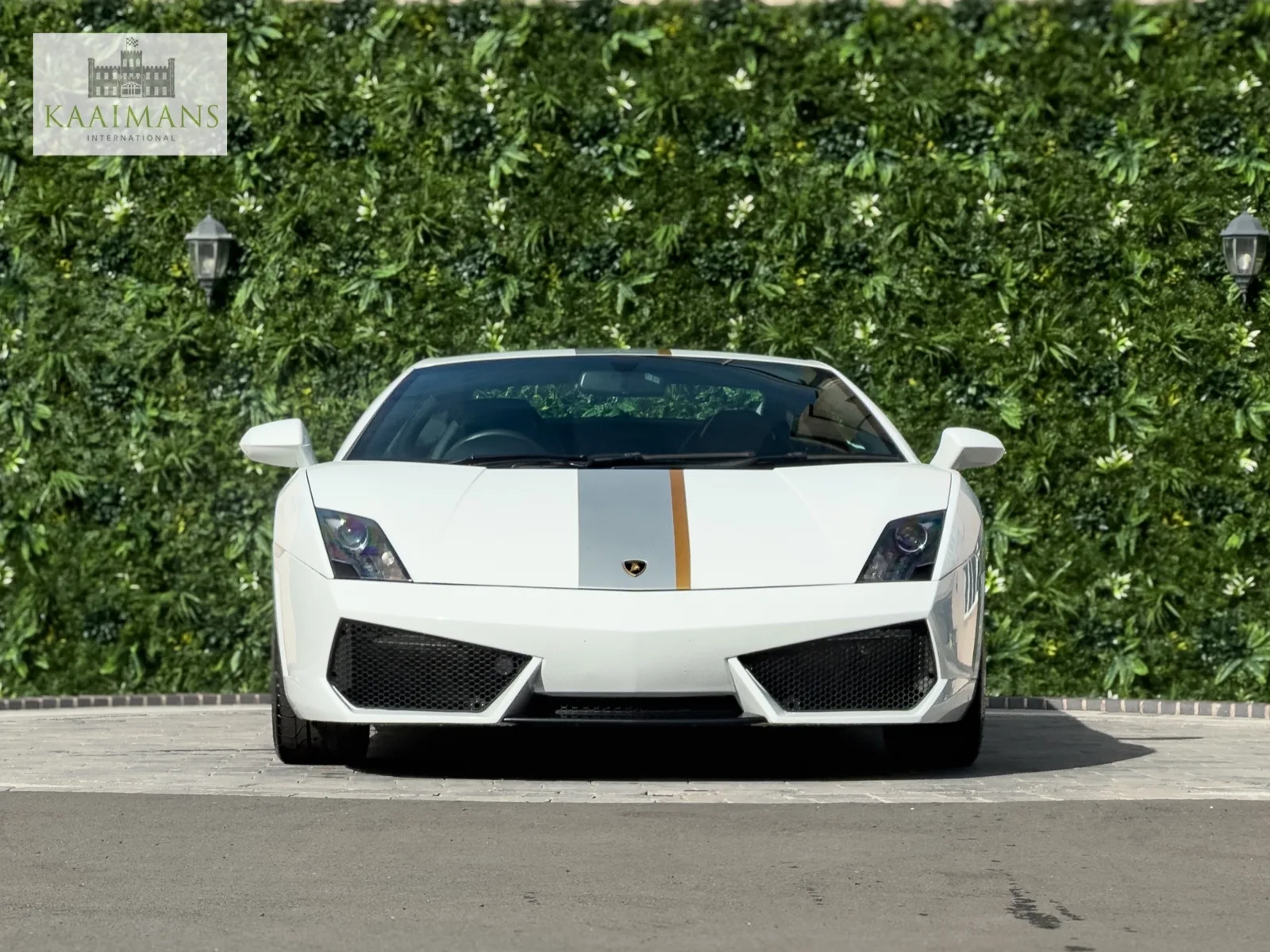 2010 Lamborghini Gallardo LP 550-2 Valentino Balboni, 2/30