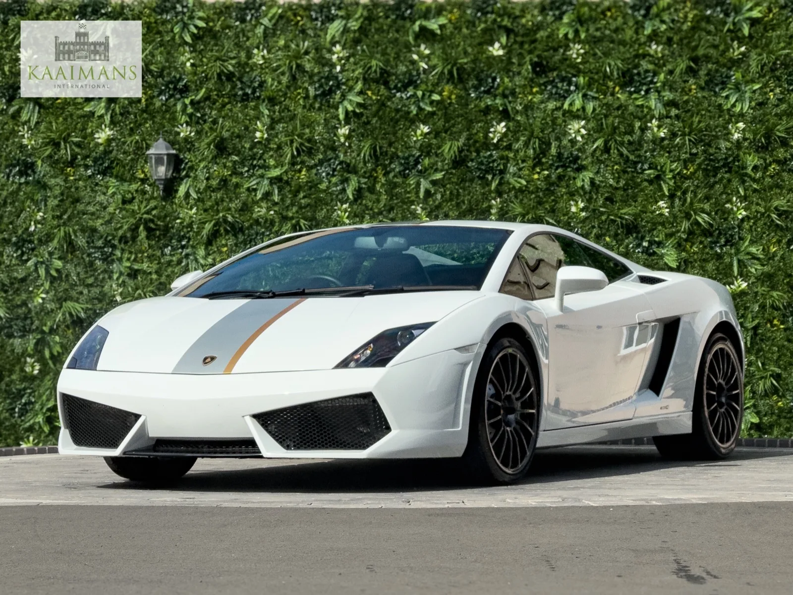 2010 Lamborghini Gallardo LP 550-2 Valentino Balboni, 3/30