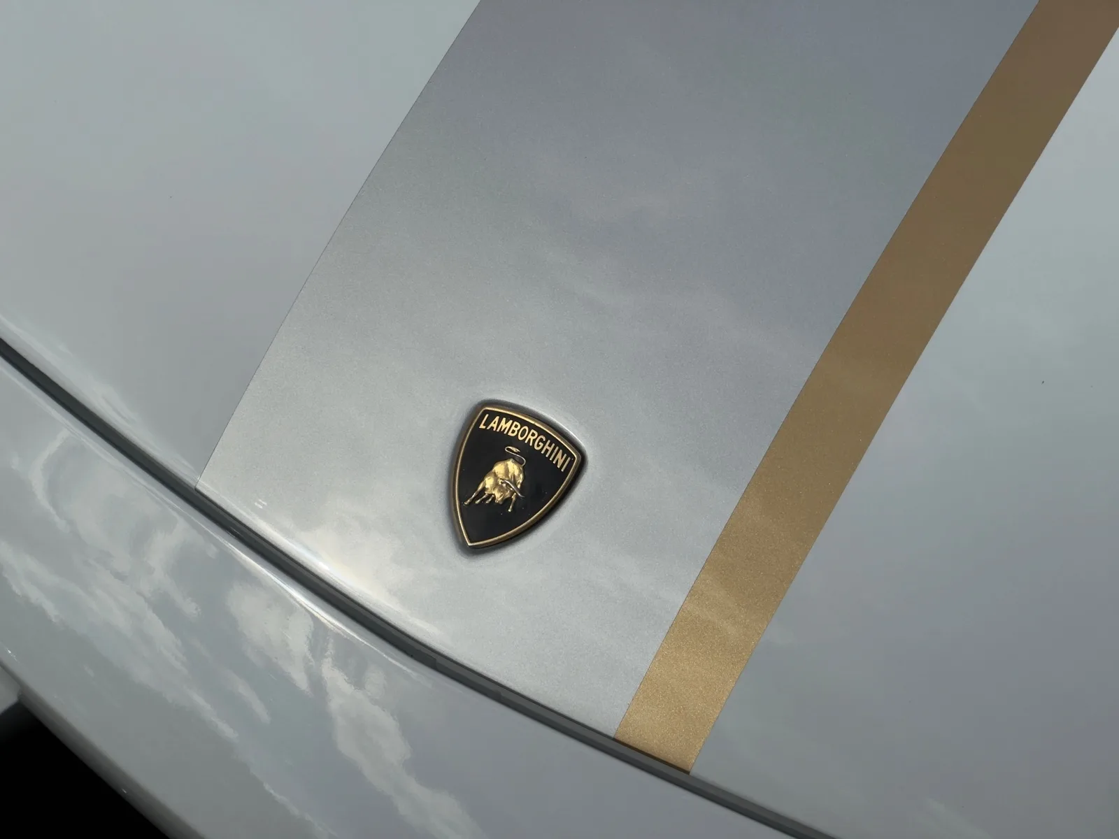 2010 Lamborghini Gallardo LP 550-2 Valentino Balboni, 7/30