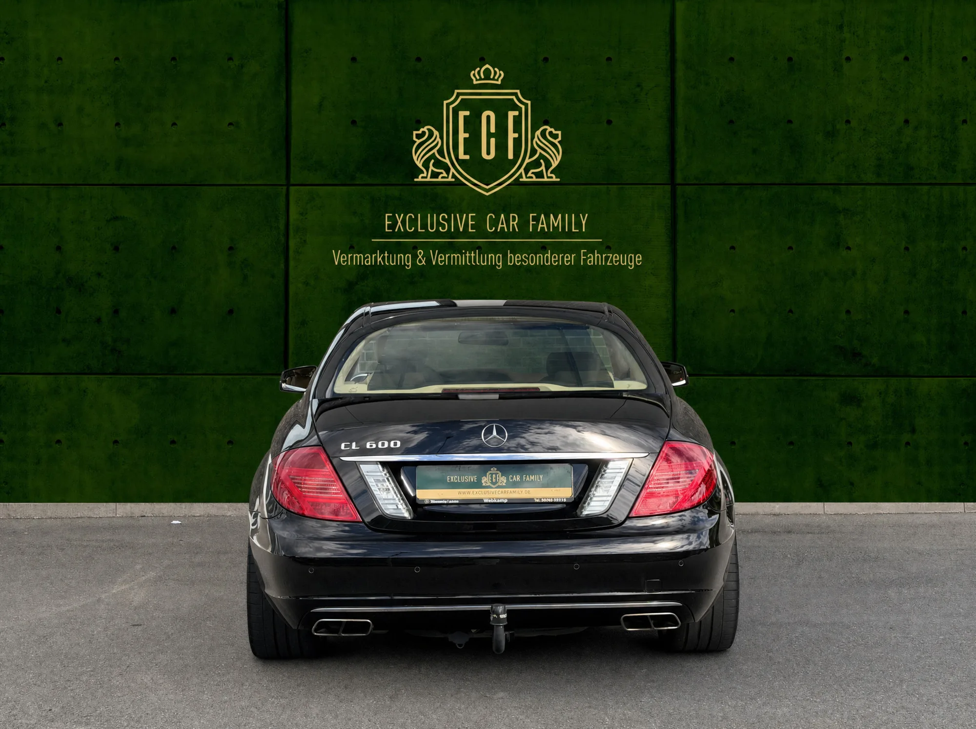 2010 Mercedes-Benz CL 600, 5/30