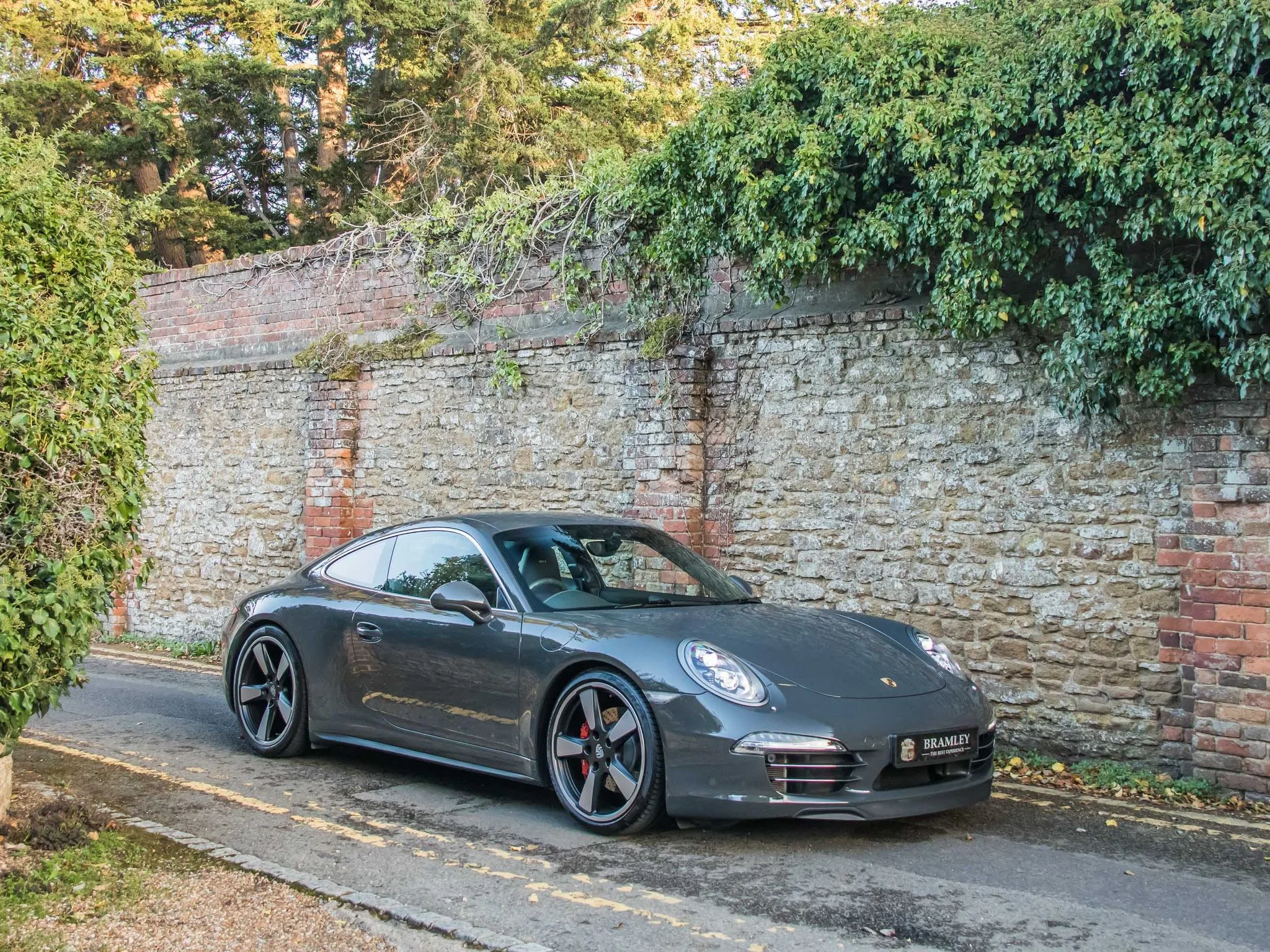 2013 Porsche 911 Carrera S 50th Anniversary Edition, 11/25