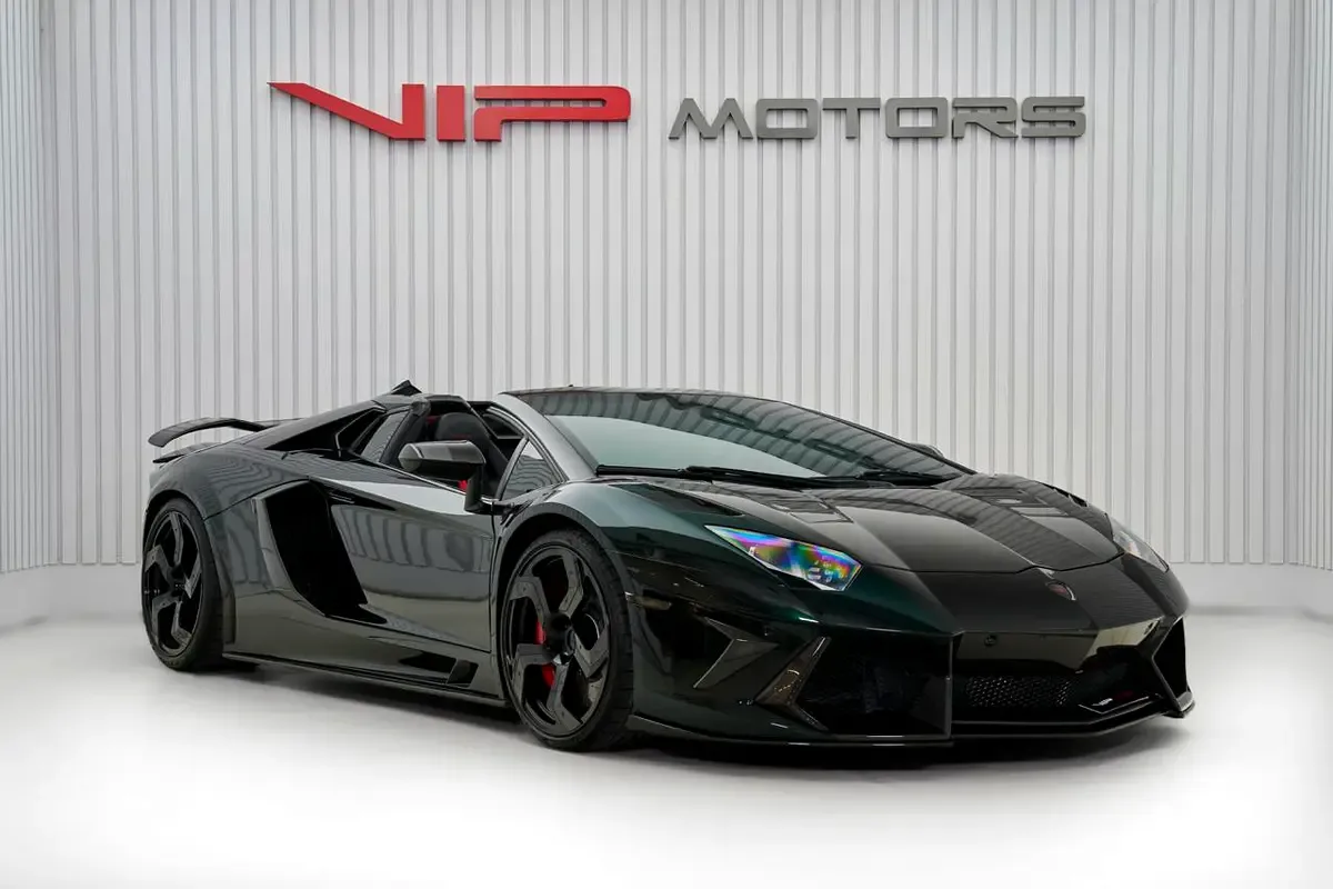 2014 Lamborghini Aventador by Mansory, 9/17