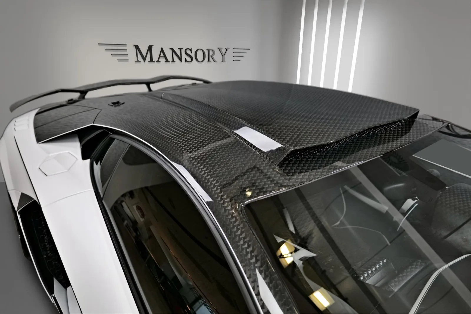 2014 Lamborghini Aventador MANSORY Carbonado GT, 4/25