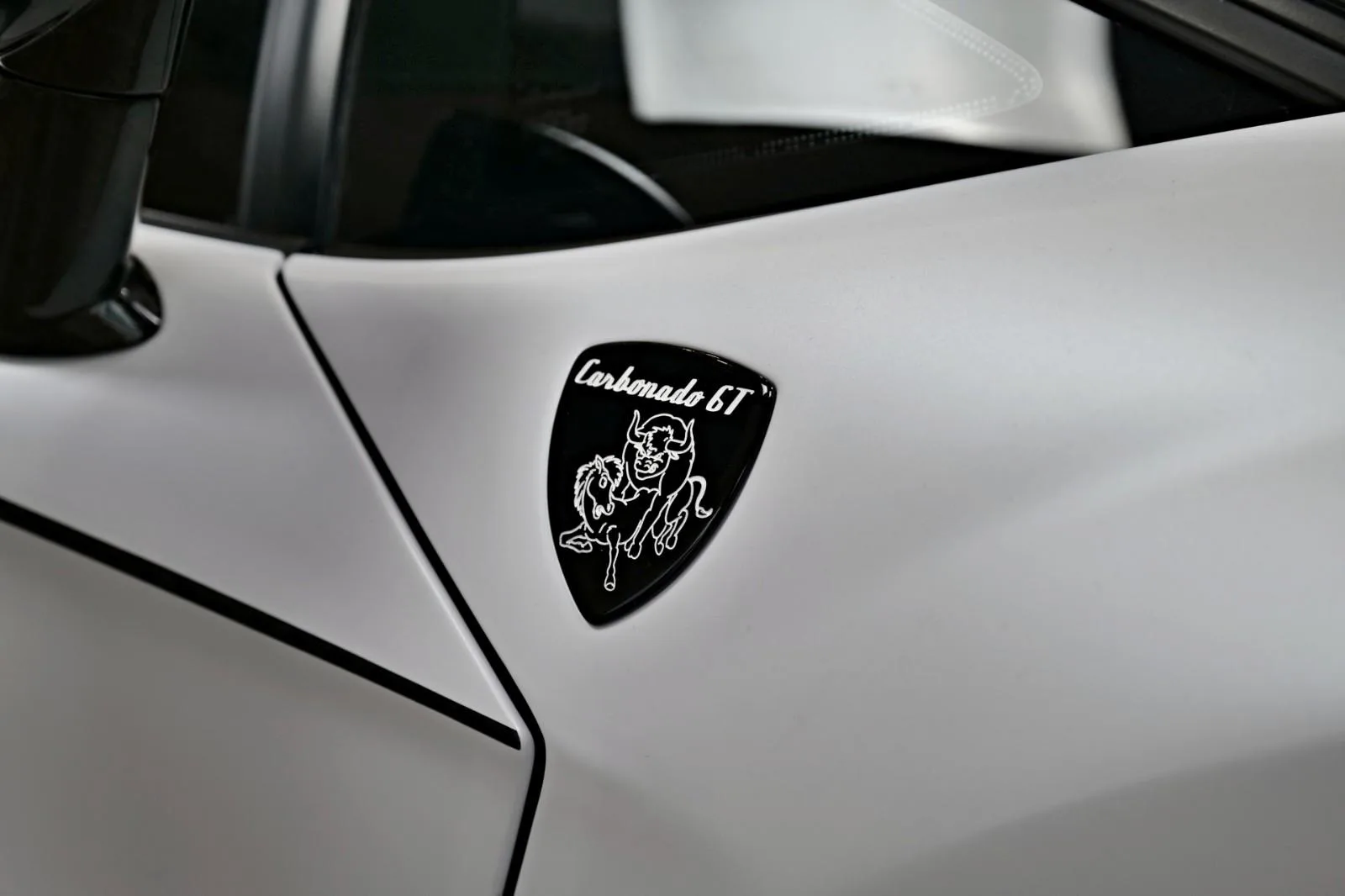 2014 Lamborghini Aventador MANSORY Carbonado GT, 7/25