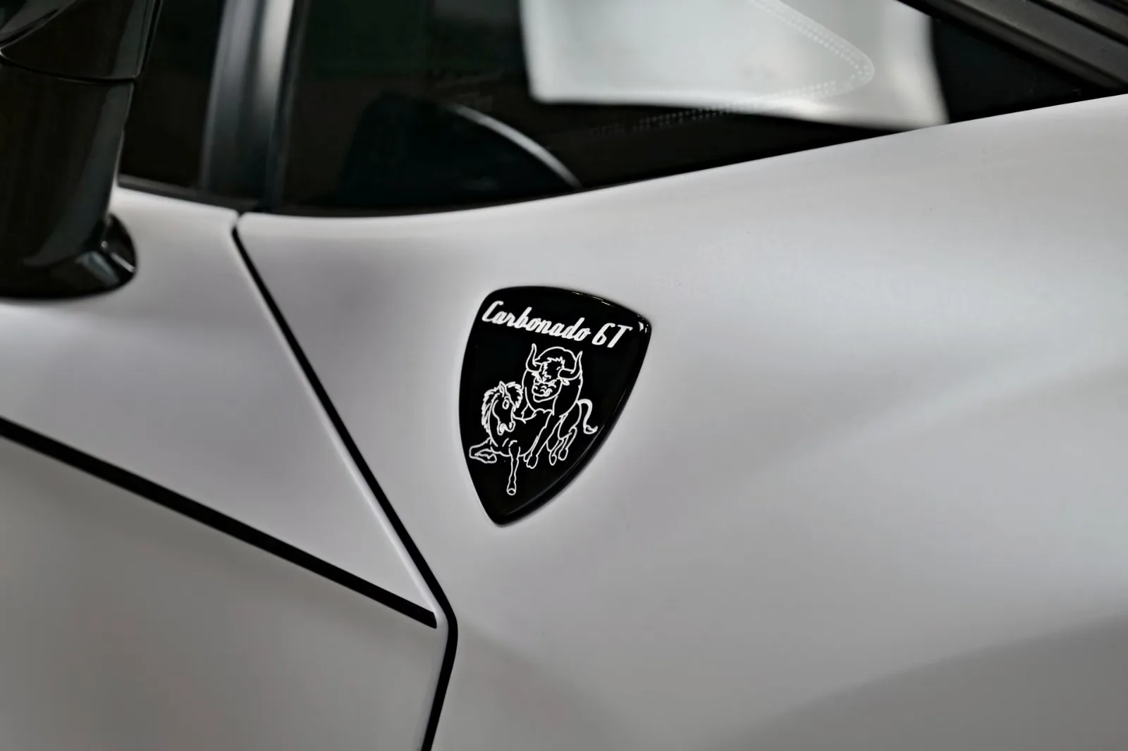 2014 Lamborghini Aventador MANSORY Carbonado GT, 25/25