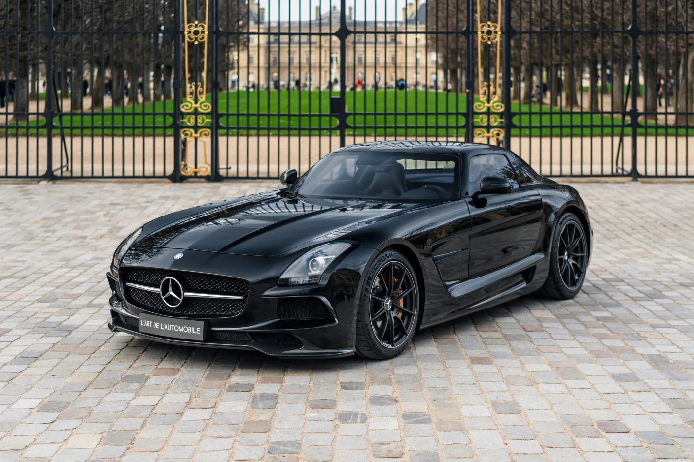 2014 Mercedes-AMG SLS Black Series proposée par un concessionnaire spécialisé à Paris, France, photo principale
