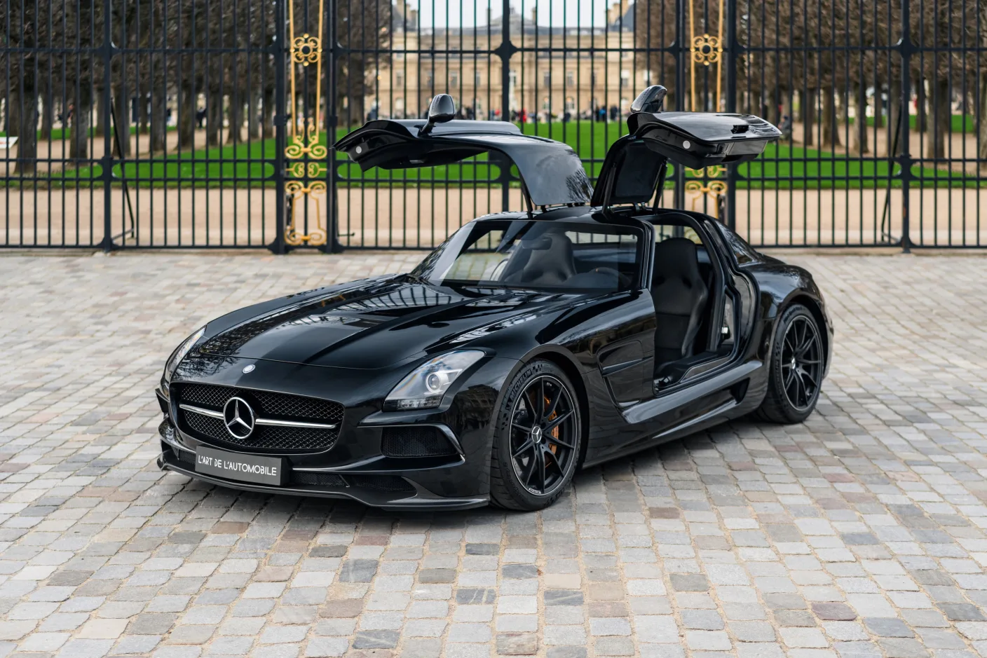 2014 Mercedes-AMG SLS Black Series, 2/30