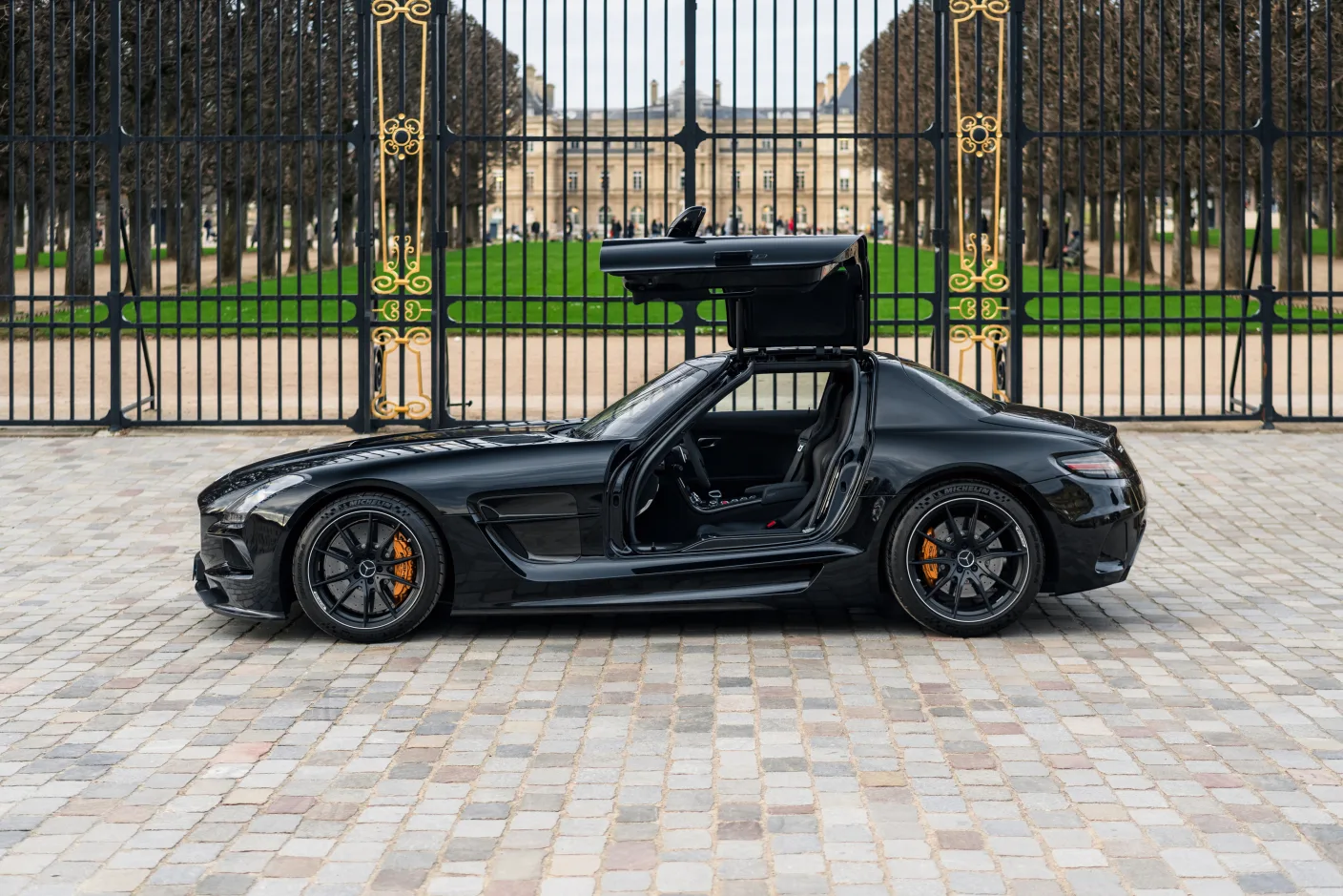 2014 Mercedes-AMG SLS Black Series, 4/30