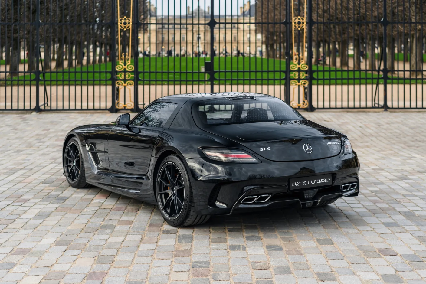2014 Mercedes-AMG SLS Black Series, 5/30