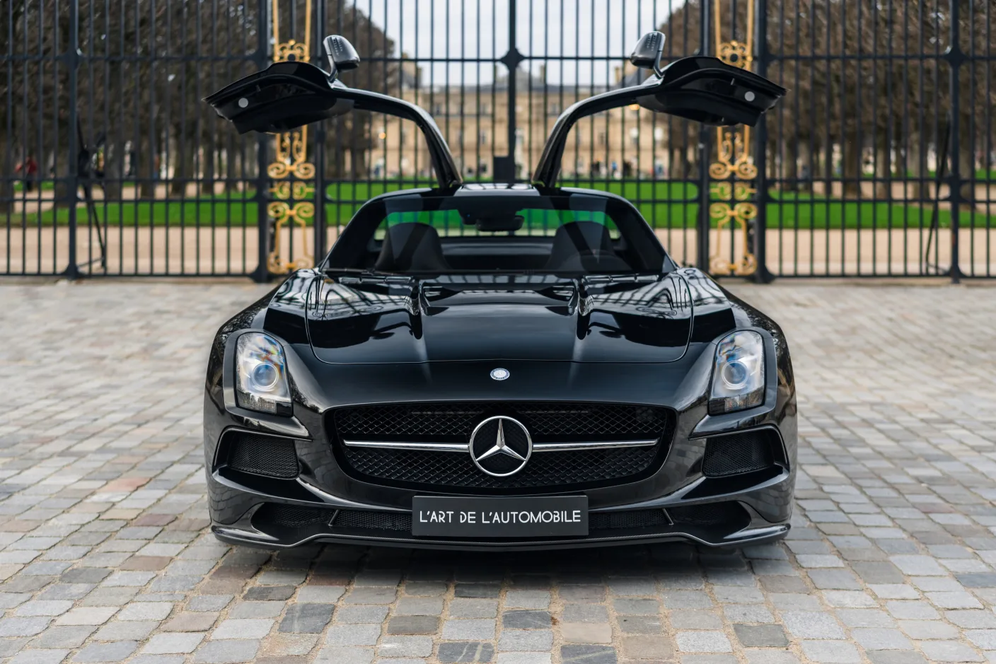 2014 Mercedes-AMG SLS Black Series, 8/30