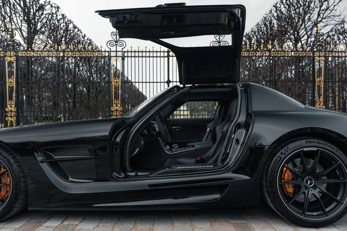 2014 Mercedes-AMG SLS Black Series, 14/30