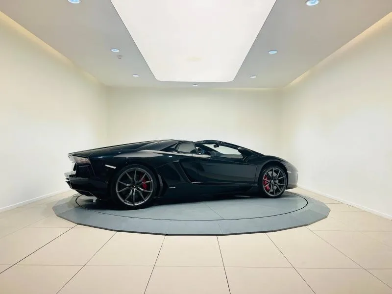 2015 Lamborghini Aventador Roadster, 3/20