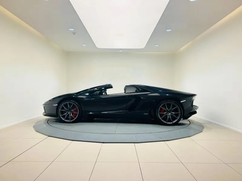 2015 Lamborghini Aventador Roadster, 4/20