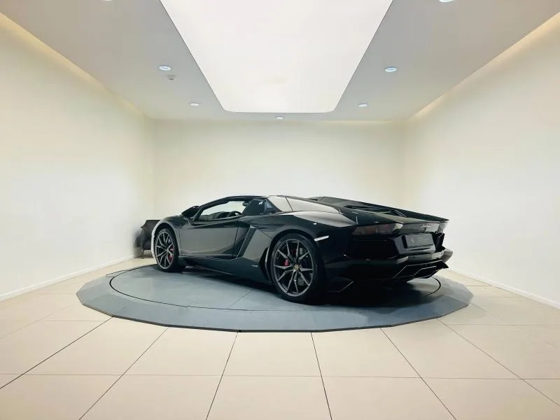 2015 Lamborghini Aventador Roadster, 7/20