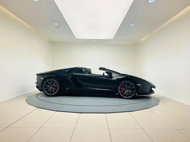 2015 Lamborghini Aventador Roadster, 9/20