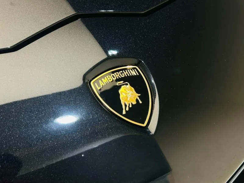 2015 Lamborghini Aventador Roadster, 14/20