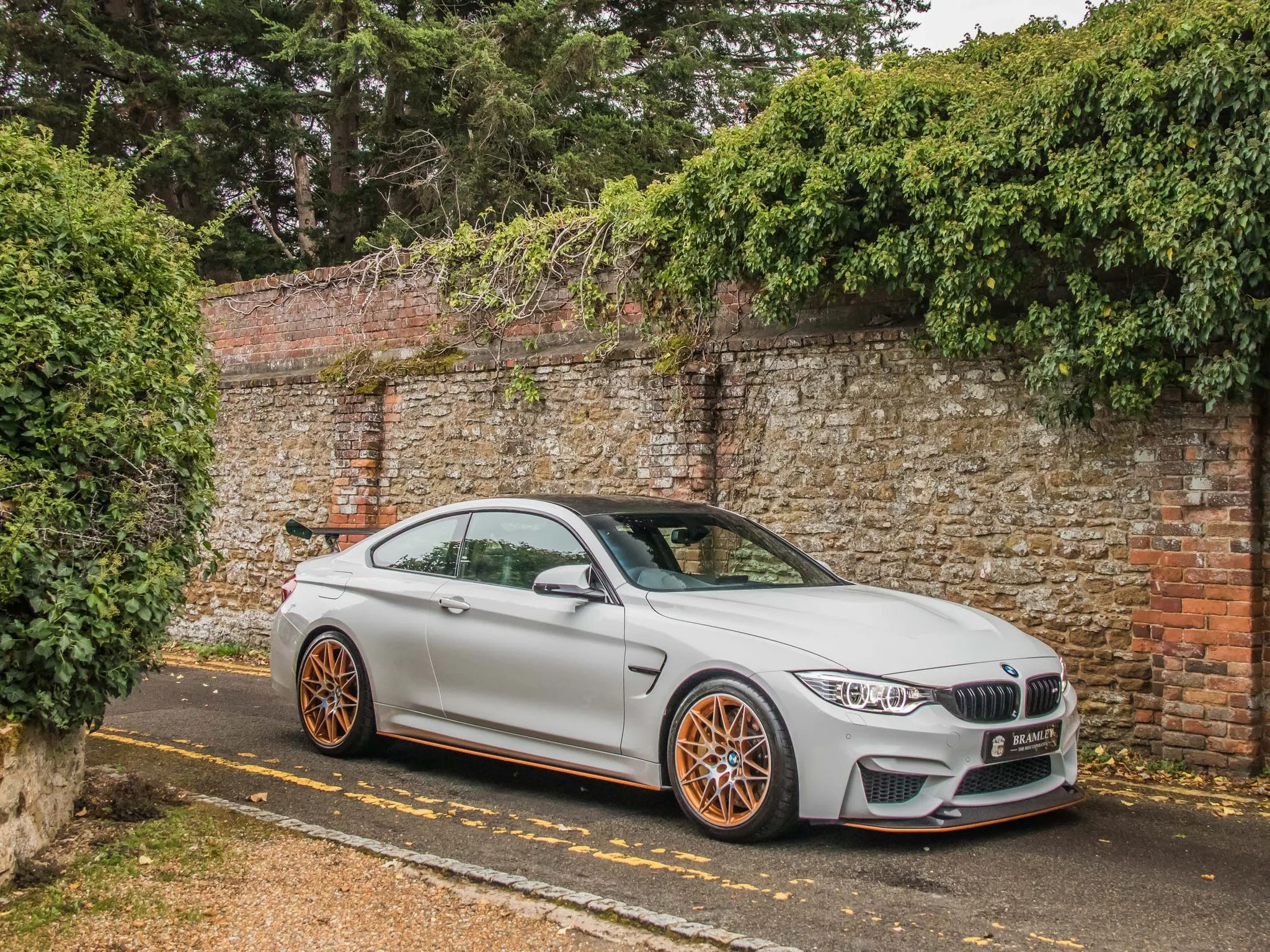 2016 BMW M4 GTS, 12/24