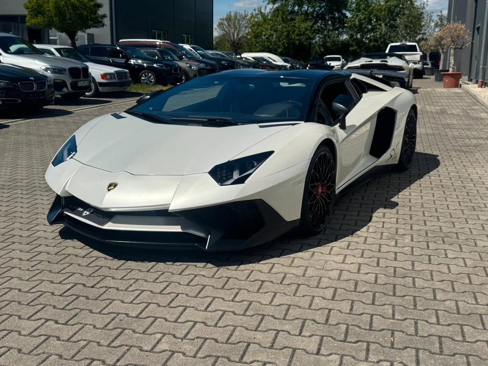 2017 Lamborghini Aventador SV Roadster, 13/30