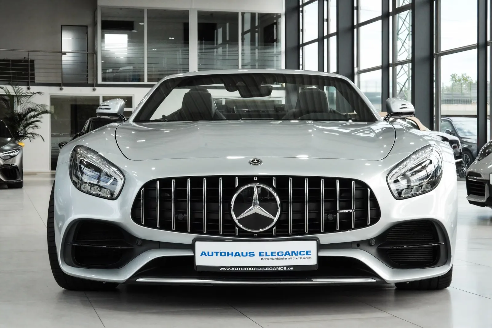 2017 Mercedes-AMG GT Roadster, 4/30