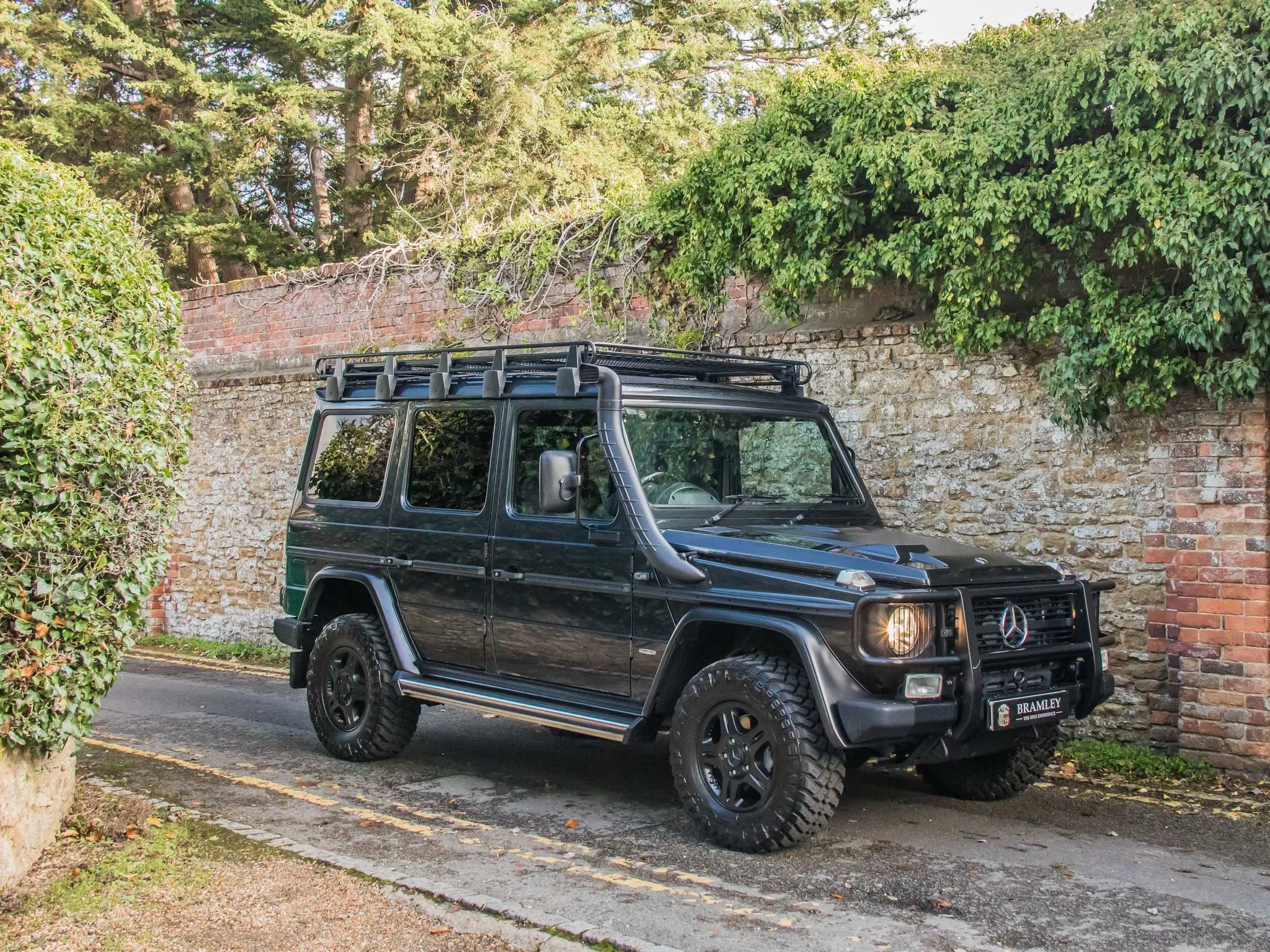 2018 Mercedes-Benz G 300 CDI Professional, 12/28