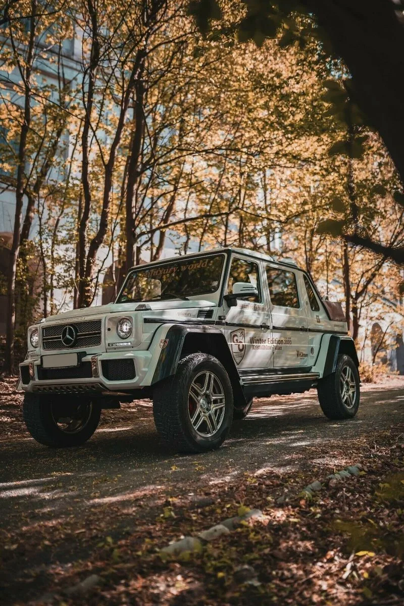 2018 Mercedes-Maybach G 650 Landaulet offered by a specialist dealer in Nuremberg, Germany, photo 5 of 15
