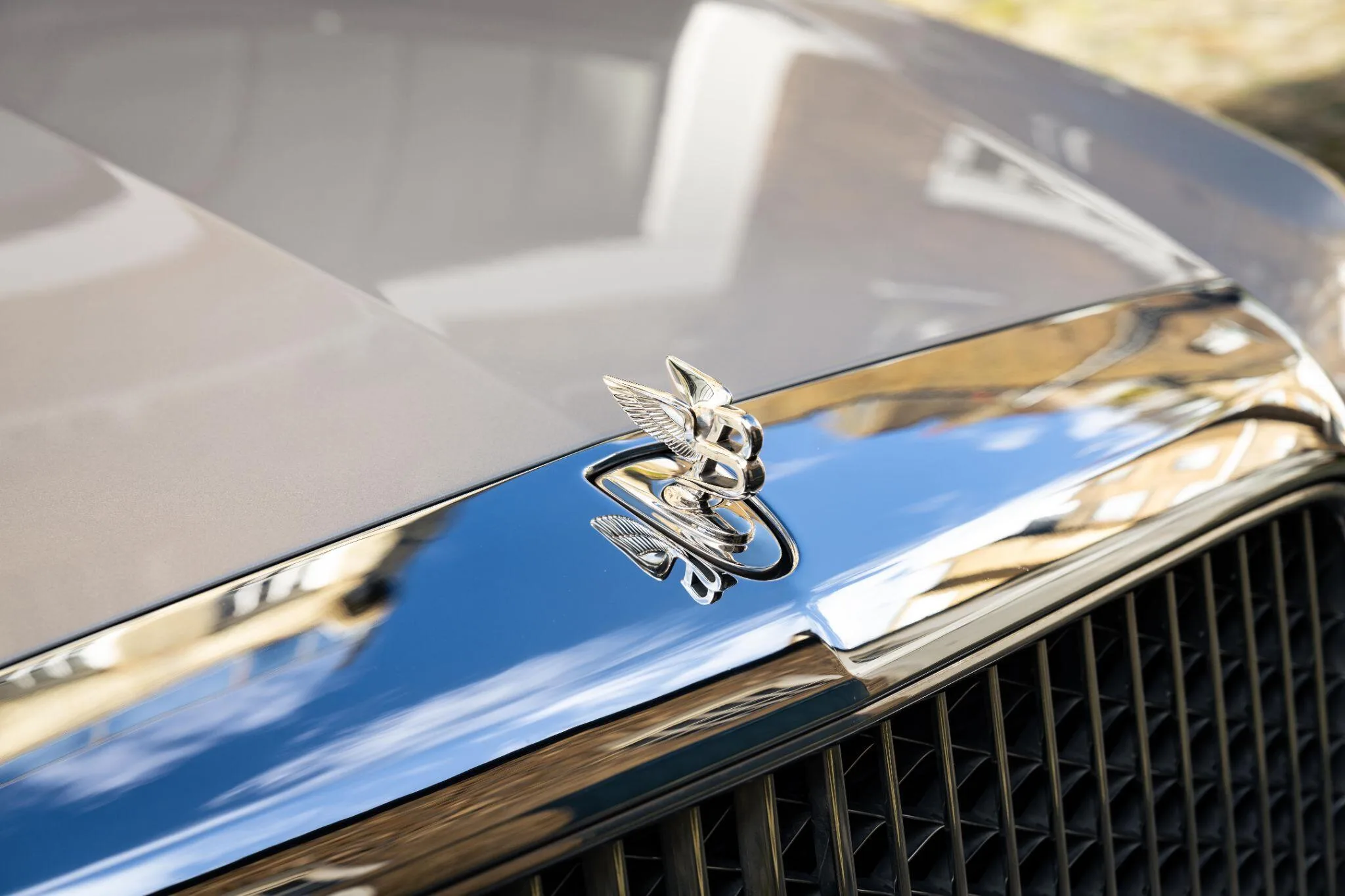 2019 Bentley Mulsanne Extended Wheelbase, 13/30