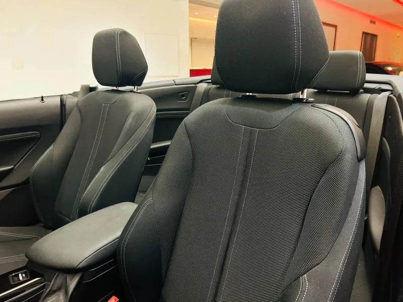 2019 BMW 2 Series Convertible 220d, 16/20