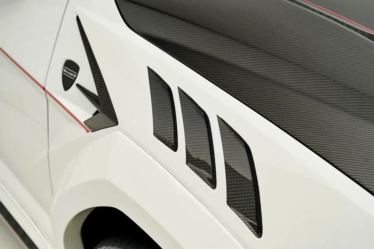 2019 Lamborghini Urus by Mansory, 9/16