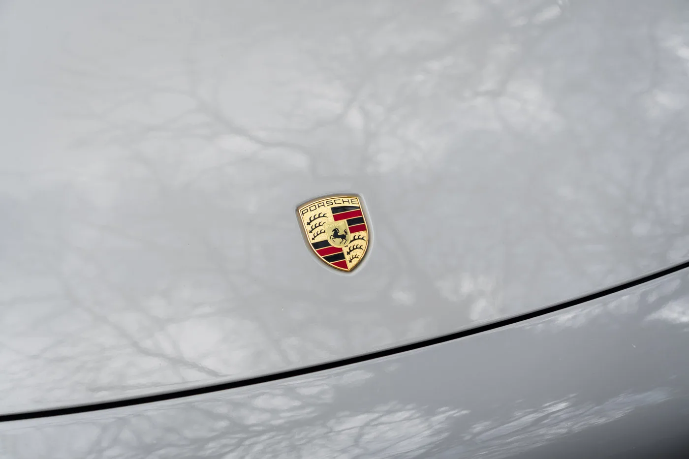 2019 Porsche 911 Carrera 4S, 15/30