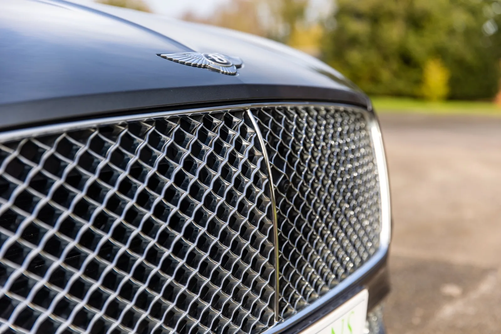2020 Bentley Continental GT Centenary Edition, 13/30