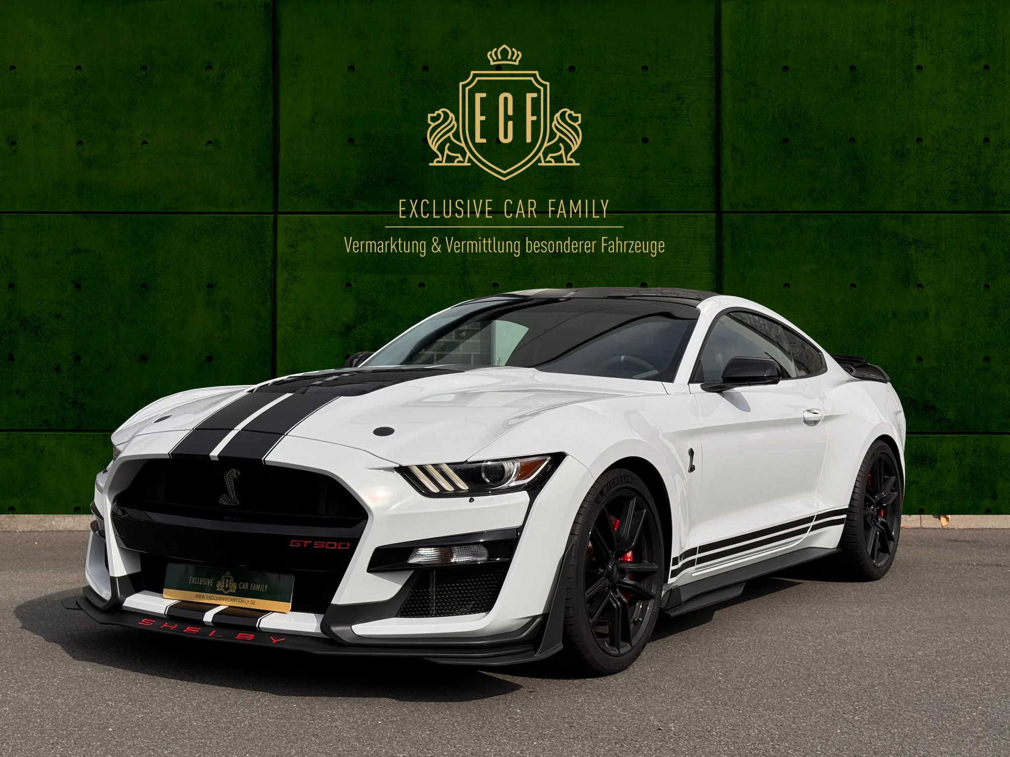 2020 Ford Mustang Shelby GT500 angeboten von einem Vermittler in Hessisch Oldendorf, Deutschland, Hauptfoto